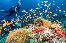 Scuba dive with sharing transfers