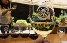 Private Maipo Valley De Luxe Wine Tour