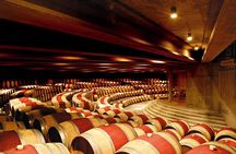 Colchagua Full day Luxury wine tour