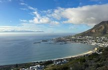  Private Tour Cape of Good Hope with Penguins 