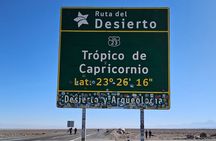 Full Day Tour to Piedras Rojas, Altiplanic Lagoons and Chaxa