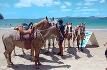 Private Horseback Tour in Playa Conchal