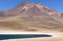 Full Day Tour to Piedras Rojas, Altiplanic Lagoons and Chaxa