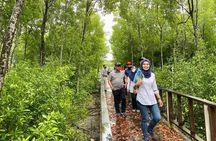 Breakfast Tour at Royal Town of Klang with Local + Mangrove Walk