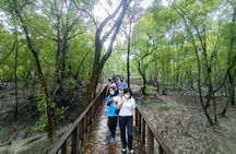 Small Group Tour to Royal Town of Klang plus Mangrove Point
