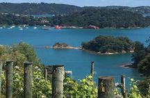 The Boutique Experience: Waiheke Best Cellar Tour (11 guests max)