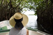 Private Galle Day Tour with River Safari, Stilt fishing & Turtles