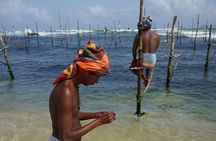 Private Galle Day Tour with River Safari, Stilt fishing & Turtles