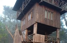 Jungle Tower Night Stay in Chitwan National Park 2 Nights 3 Days 