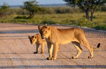  2 Day Budget Safari in Tarangire and Ngorongoro From Arusha