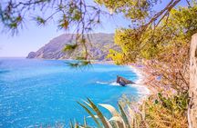 Cinque Terre and Pisa Full Day Tour from Florence 