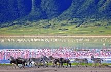  2 Day Budget Safari in Tarangire and Ngorongoro From Arusha