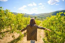 Half-day Experience to San Gimignano Hills with Picnic and Wine 