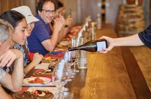 Siena, San Gimignano and Chianti Wines Day Tour from Florence
