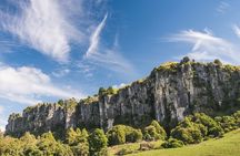 12-Hour LOTR Trollshaws & Waitomo Glowworm Tour 