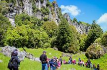 12-Hour LOTR Trollshaws & Waitomo Glowworm Tour 