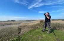 Sussex Birdwatching Private Guided Day Tour