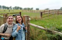 Sussex Birdwatching Private Guided Day Tour