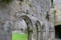 Private Tour from Dublin: Hill of Tara Trim Castle, Celtic sites