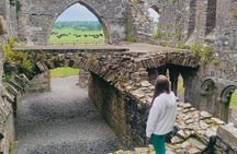 Private Tour from Dublin: Hill of Tara Trim Castle, Celtic sites