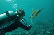 2 Tank Shore Dive at Sea Turtle Cove