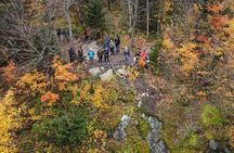 Scenic Hiking Adventure at Mont-Orford National Park