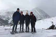 Half Day Guided Snowshoe Tour Near Breckenridge 