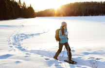 Half Day Guided Snowshoe Tour Near Breckenridge 