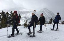 Half Day Guided Snowshoe Tour Near Breckenridge 