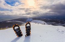 Half Day Guided Snowshoe Tour Near Breckenridge 