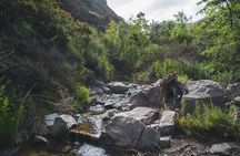 Nature Adventure with Private Transport to Waterfall and more!