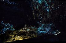 12-Hour LOTR Trollshaws & Waitomo Glowworm Tour 