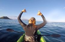 Wailoa River to King Kamehameha Statue Kayak Adventure