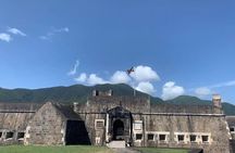 Best of St. Kitts Private Half Day Tour