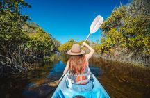 Remote Fraser Island Experience