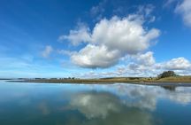 Wildlife Safari Boat Tour in Scenic Monterey Bay Wetland