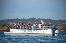 Wildlife Safari Boat Tour in Scenic Monterey Bay Wetland
