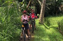 Mount Batur to Ubud – Light Off Road Cycling Adventure