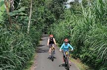 Mount Batur to Ubud – Light Off Road Cycling Adventure