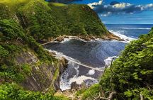 Full-Day Garden Route Safari from Port Elizabeth