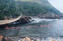 Full-Day Garden Route Safari from Port Elizabeth