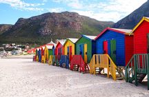 Cape Point , Boulder Beach Penguins and Cape of Good Hope Tour.