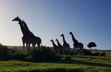 Coast to Coast Premium South Africa Adventure