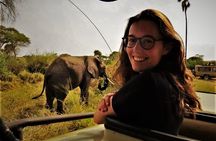 3 Days Tanzania Safari: Tarangire, Manyara and Ngorongoro Crater
