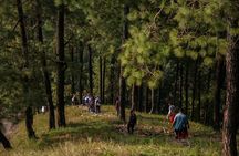 Half Day Hike to Hills and Waterfalls of Nagarkot in Nepal