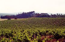 Utiel-Requena Excursion: Uncover the Flavors of Valencia's Wine