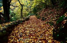 Hike among & Fly above Meteora