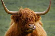 Private Luxury Tour of Loch Lomond, Oban, Glencoe & The Highlands