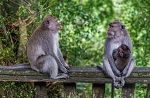 Best Of Ubud Private Day Tour With Local Guide