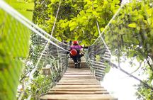 60m Tree Climbing Experience with Descent in Tarzan or Rapel